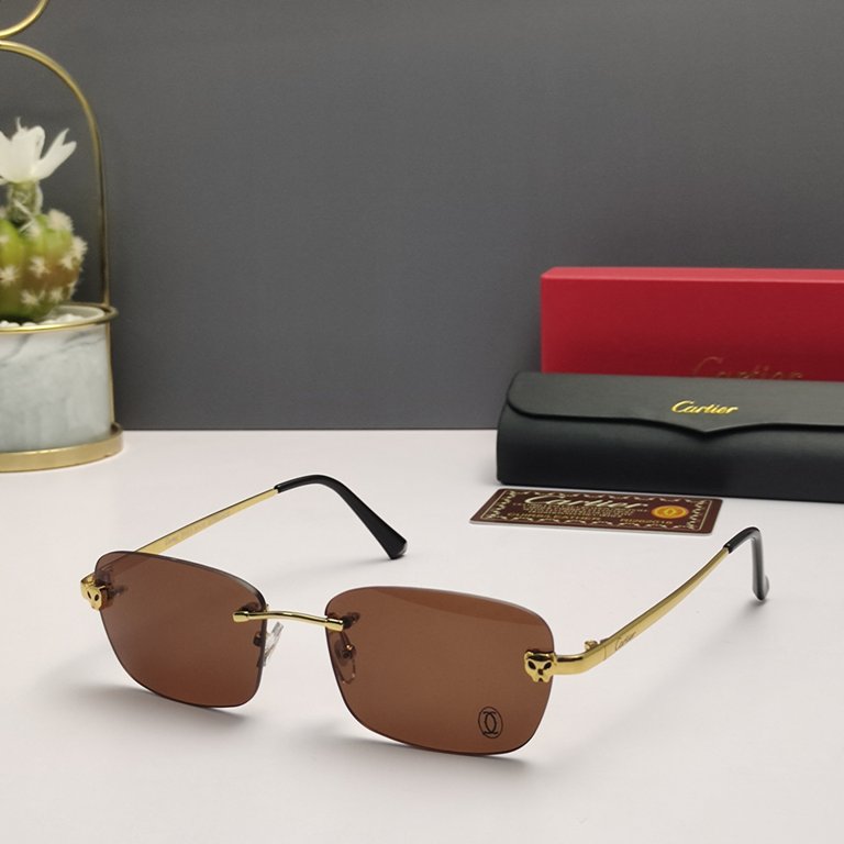 Cartier Sunglasses(1:1)-308