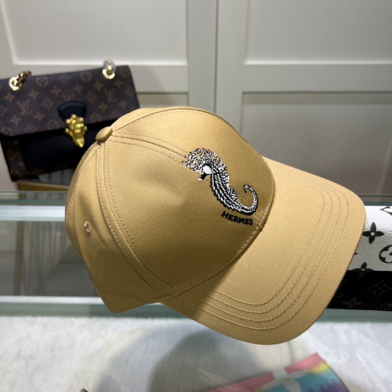 Hermes Cap-007