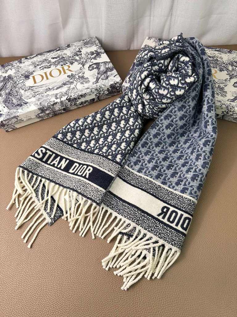Dior Cashmere Scarf -019