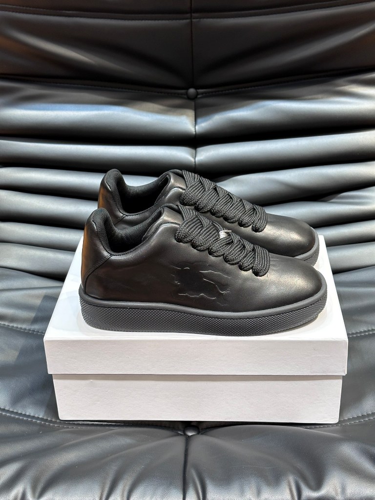 Burberry  Shoes(AAA)-003