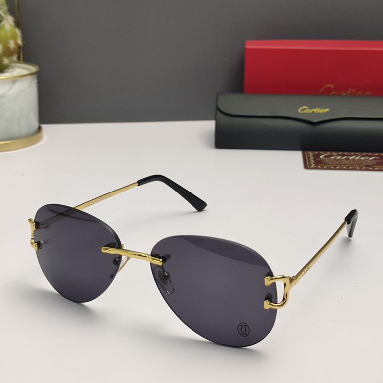 Cartier Sunglasses(1:1)-304