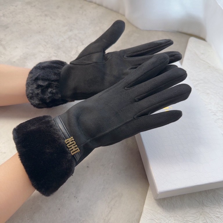 Dior Gloves(AAA)-027