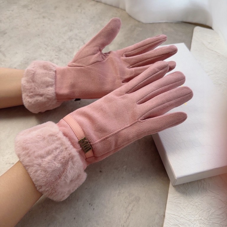 Dior Gloves(AAA)-026
