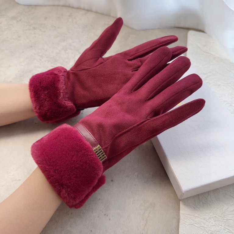 Dior Gloves(AAA)-025