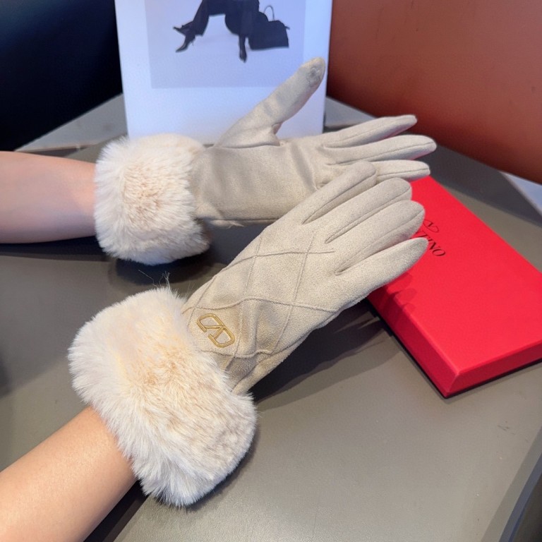 Valentino Gloves(AAA)-011