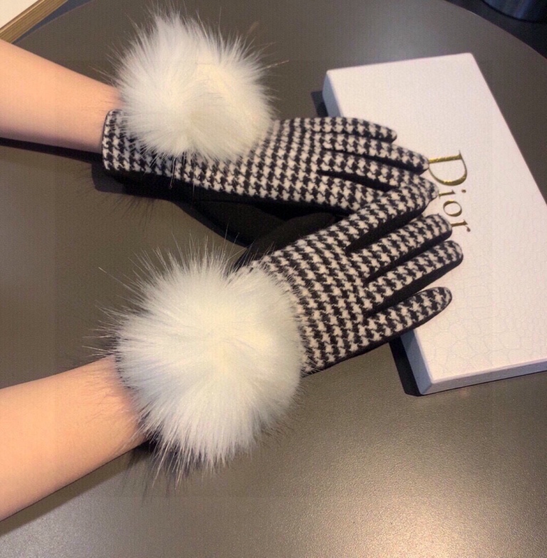 Dior Gloves(AAA)-024