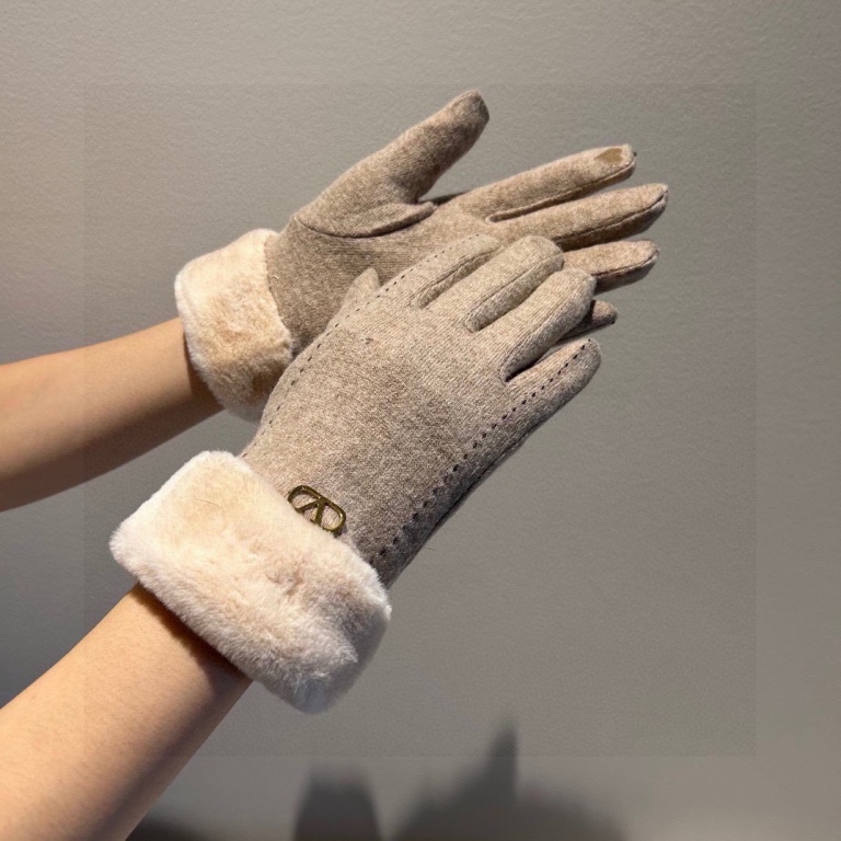 Valentino Gloves(AAA)-010
