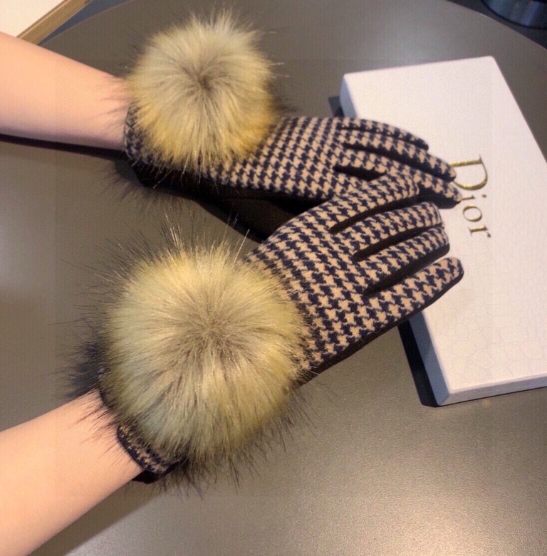 Dior Gloves(AAA)-023