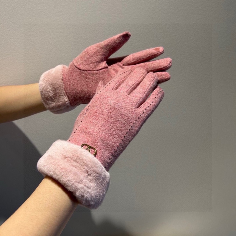 Valentino Gloves(AAA)-008