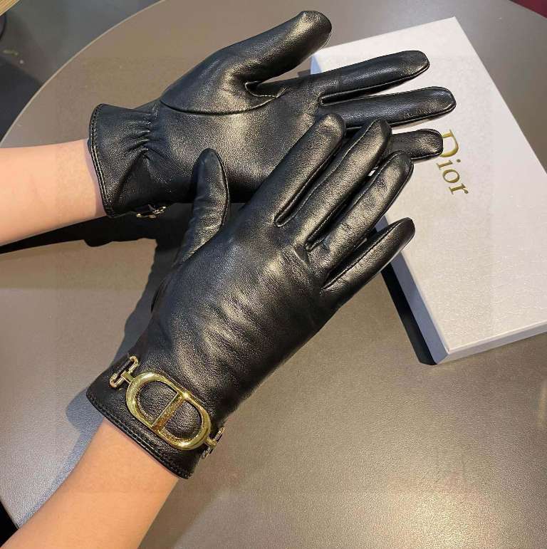 Dior Gloves(AAA)-021