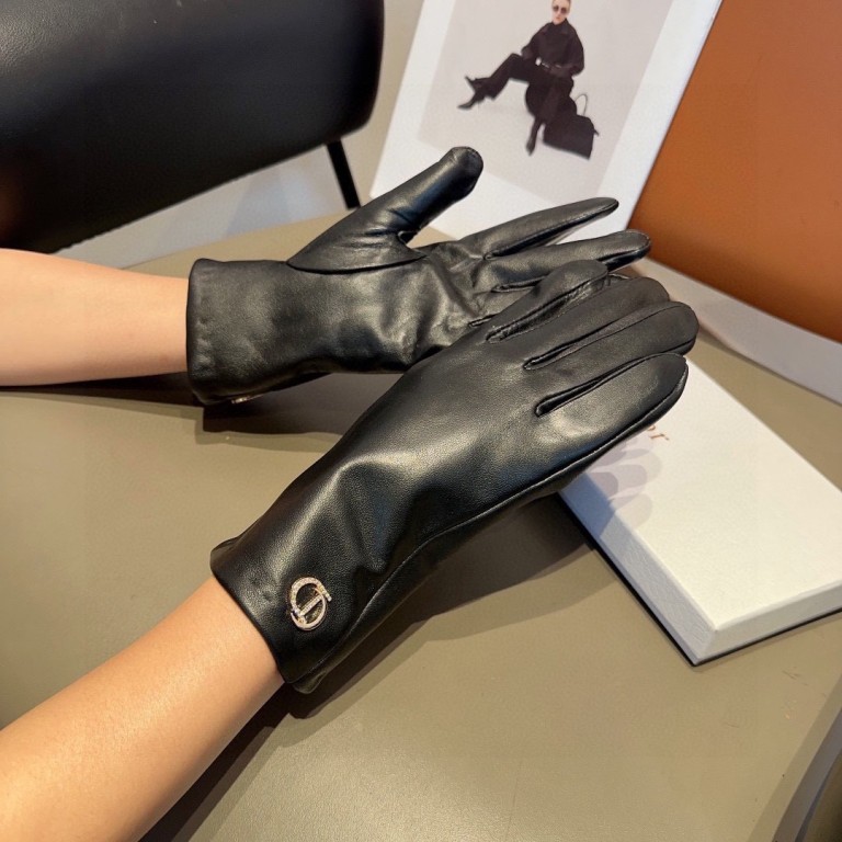 Dior Gloves(AAA)-019