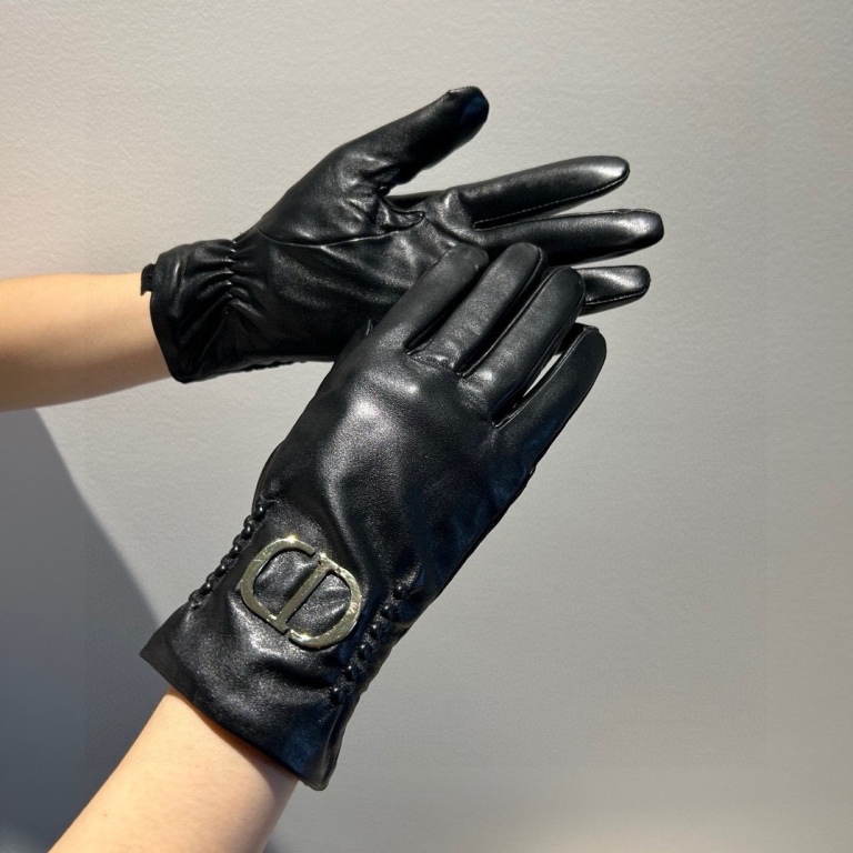 Dior Gloves(AAA)-017