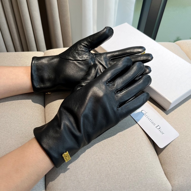 Dior Gloves(AAA)-015
