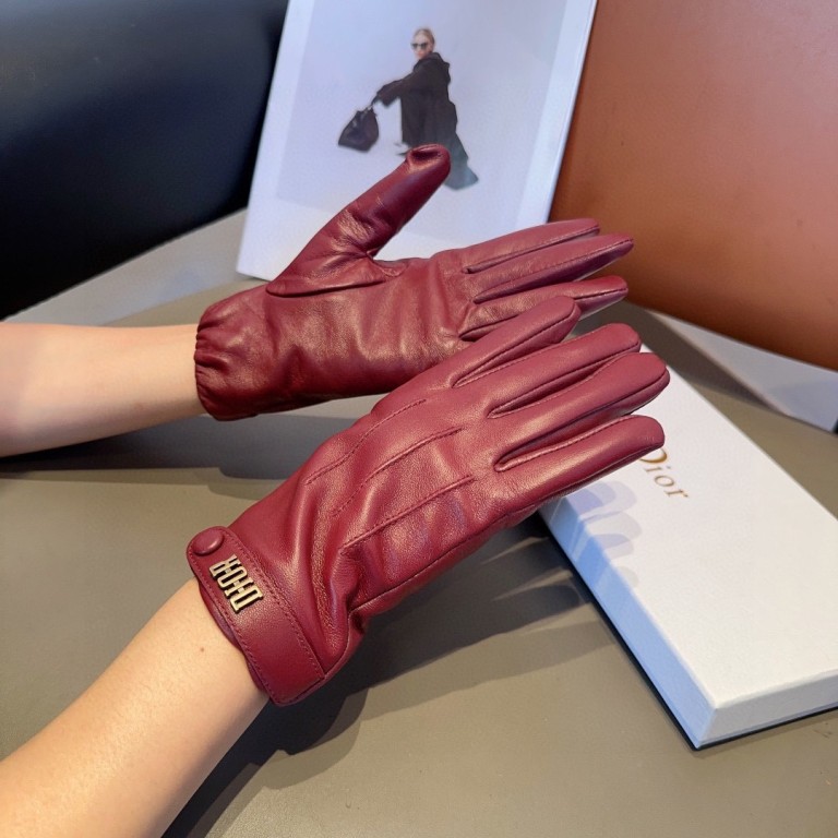 Dior Gloves(AAA)-013