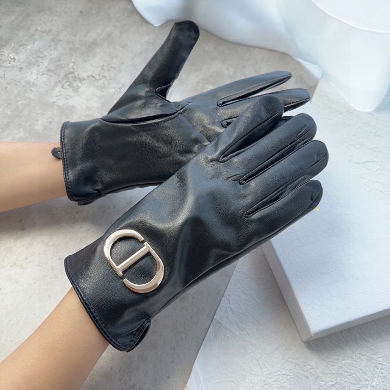 Dior Gloves(AAA)-012