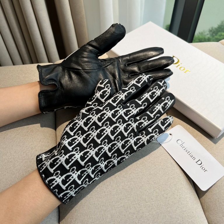 Dior Gloves(AAA)-008