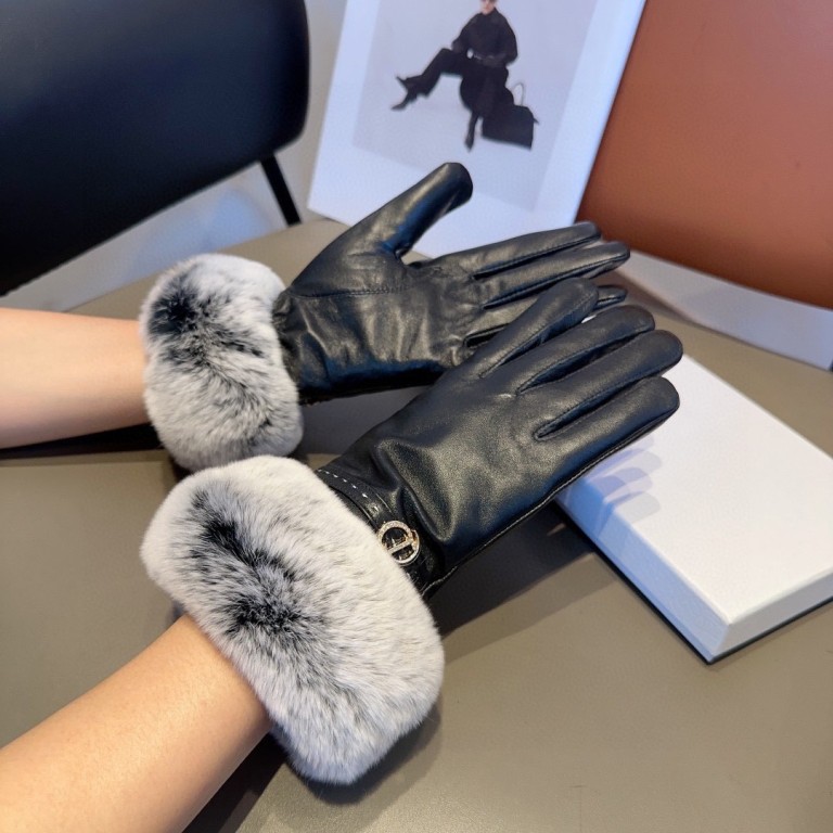 Dior Gloves(AAA)-007