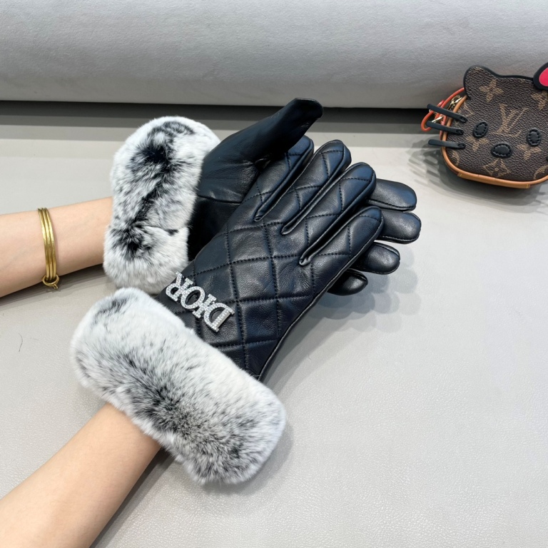 Dior Gloves(AAA)-006