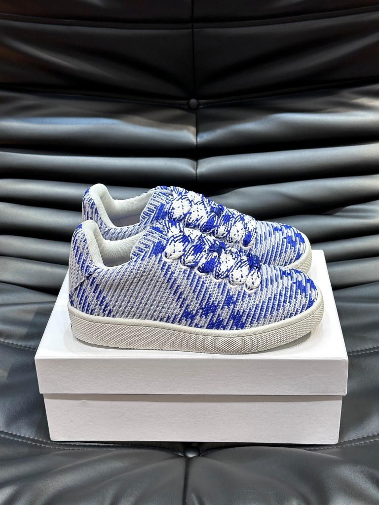 Burberry  Shoes(AAA)-002