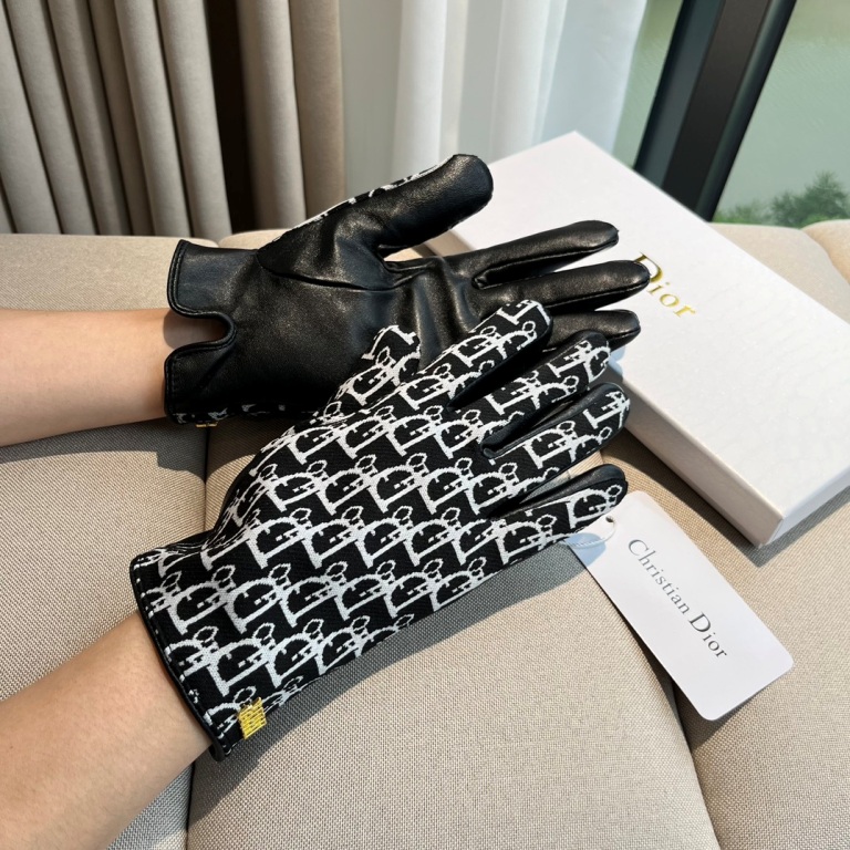 Dior Gloves(AAA)-004