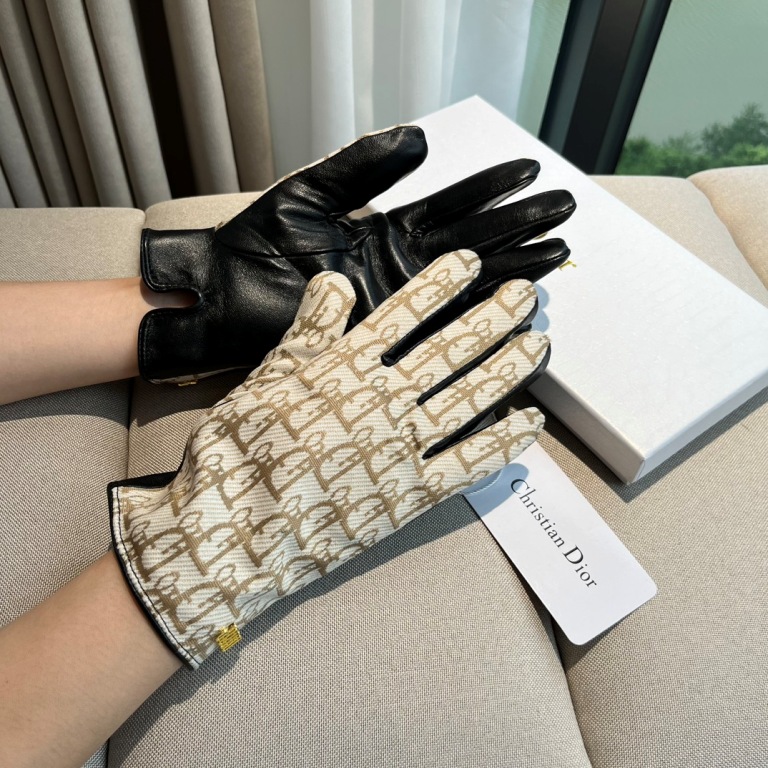 Dior Gloves(AAA)-003