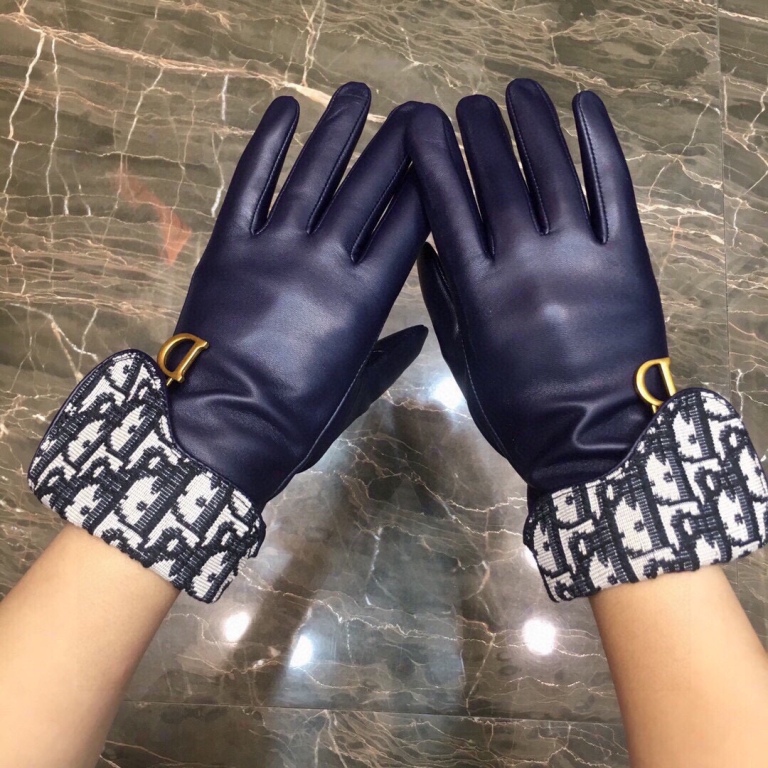 Dior Gloves(AAA)-002