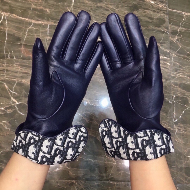 Dior Gloves(AAA)-001