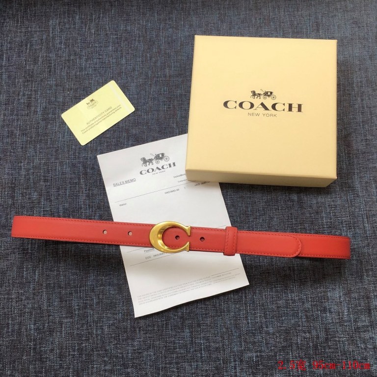 Coach Belts(w)-004