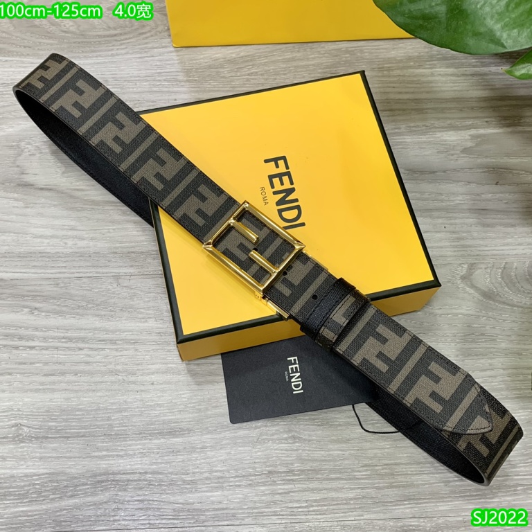 Fendi Belts-094