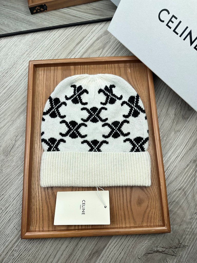 Celine Beanies-031