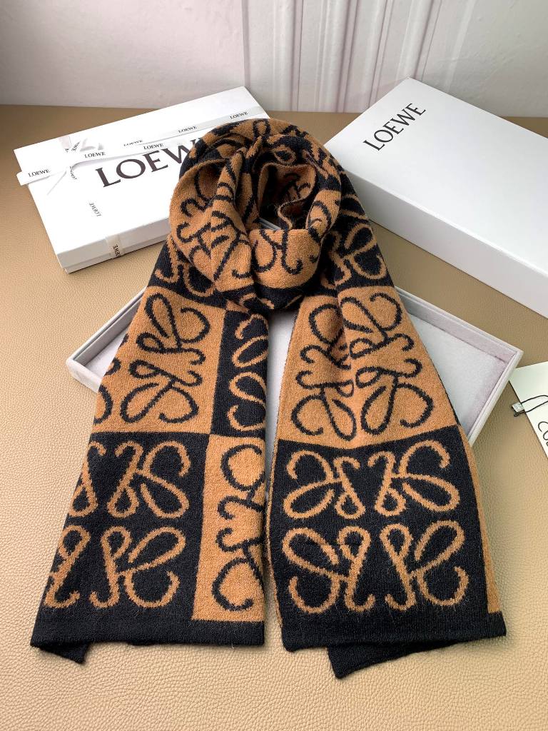 LOEWE Cashmere Scarf-12