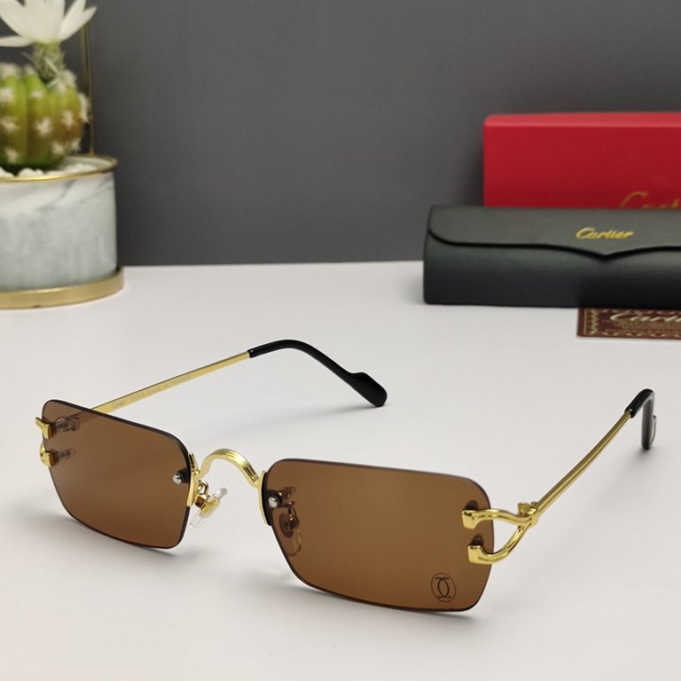 Cartier Sunglasses(1:1)-174