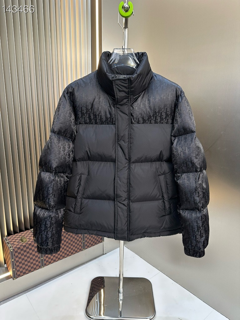 Dior Down Jacket-004
