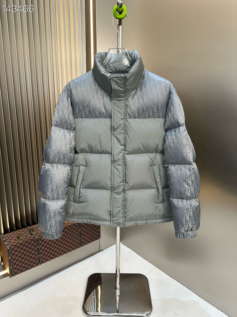Dior Down Jacket-003