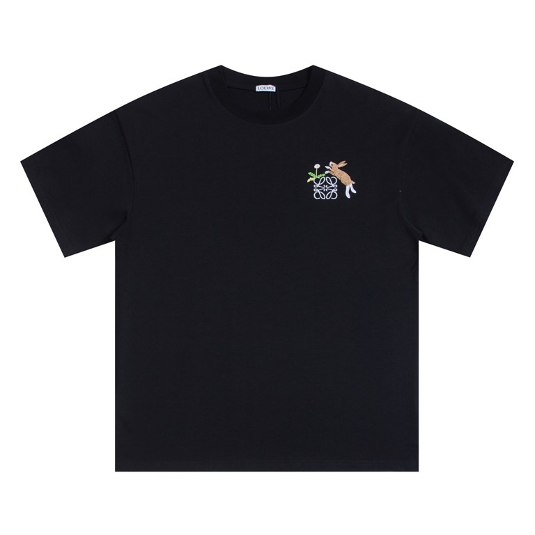 Loewe TS-011