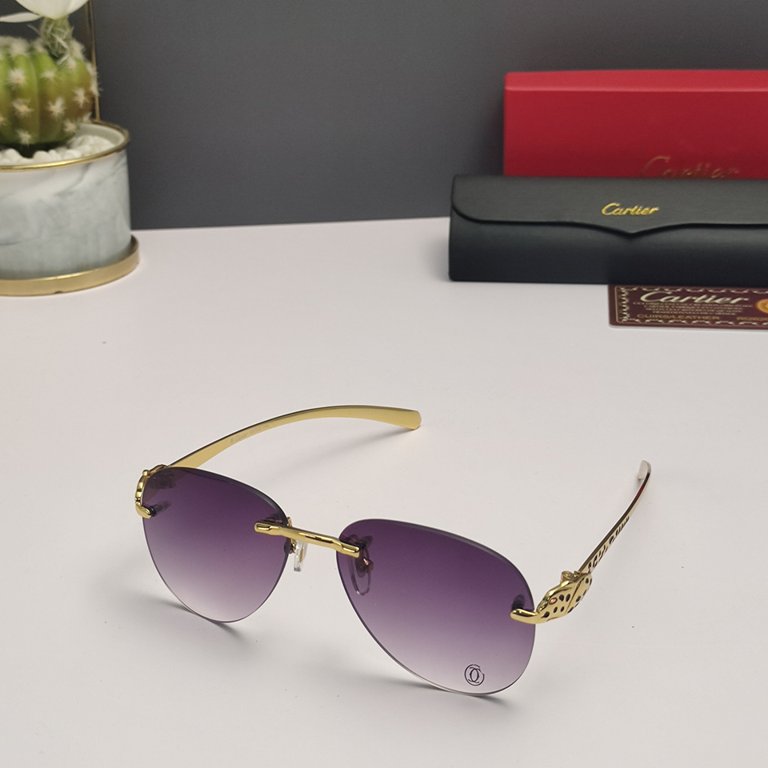 Cartier Sunglasses(1:1)-481