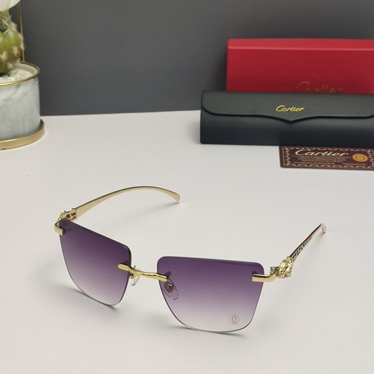 Cartier Sunglasses(1:1)-462