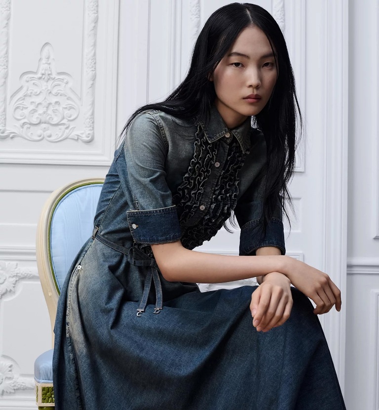 Dior Dress-I
