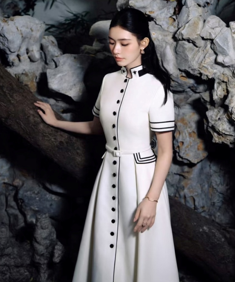 Dior Dress-E