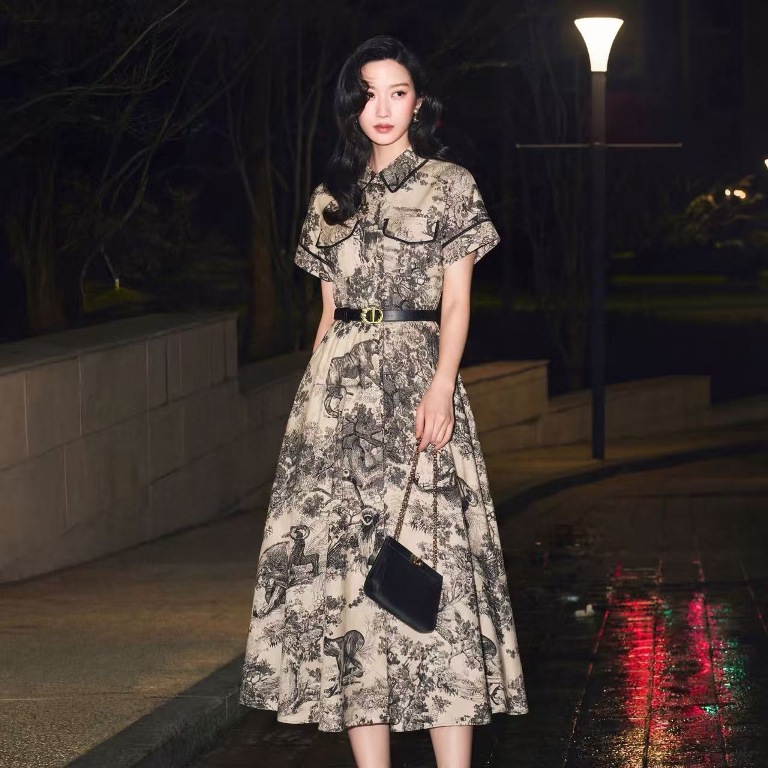 Dior Dress-K