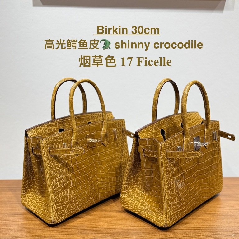 Birkin-Shiny Crocodile Leather(17 Ficelle)-008