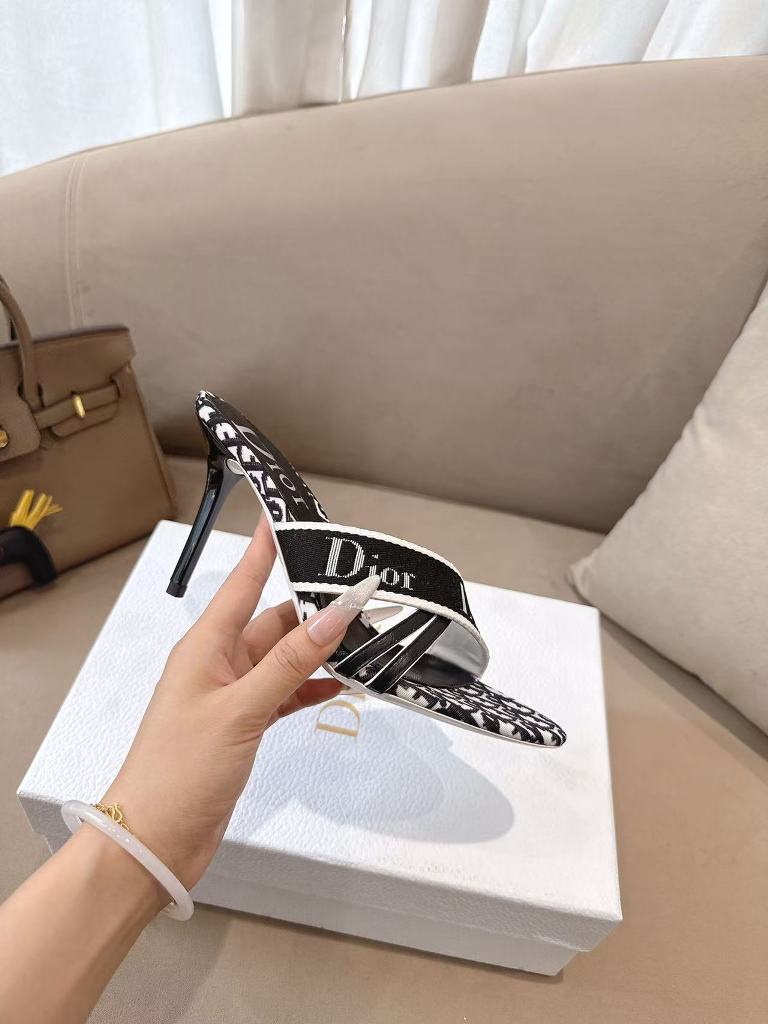 Dior High Heeled Sandals(w)-044