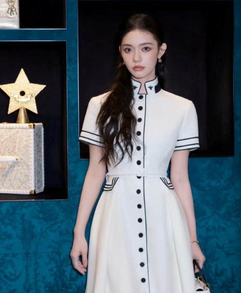 Dior Dress-E