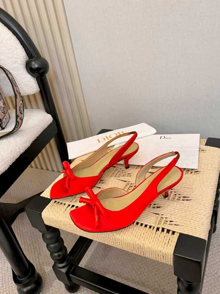 Dior High Heeled Sandals(w)-042