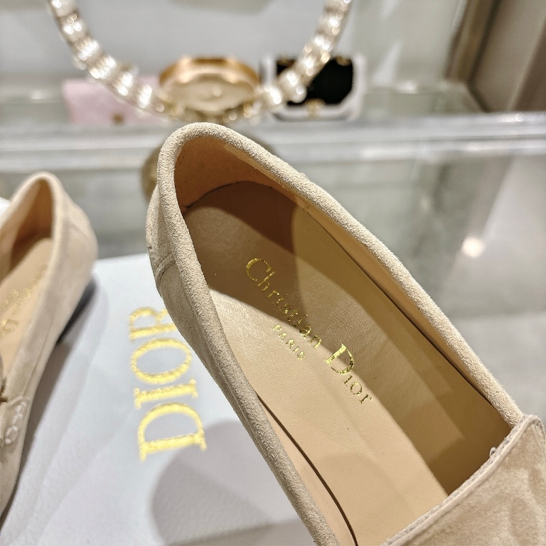 Dior Shoes(w)-008