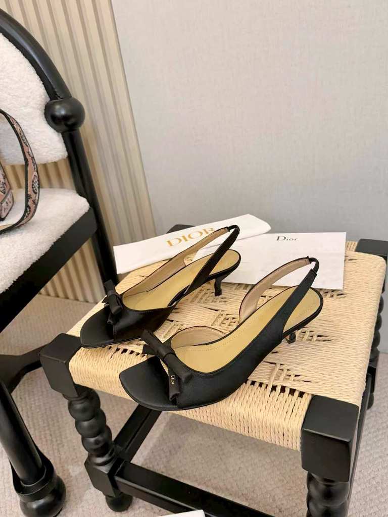 Dior High Heeled Sandals(w)-041