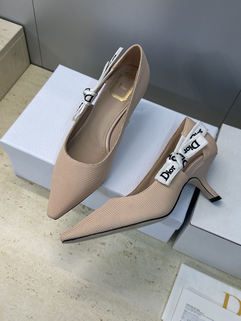 Dior Mid Heels(w)-023