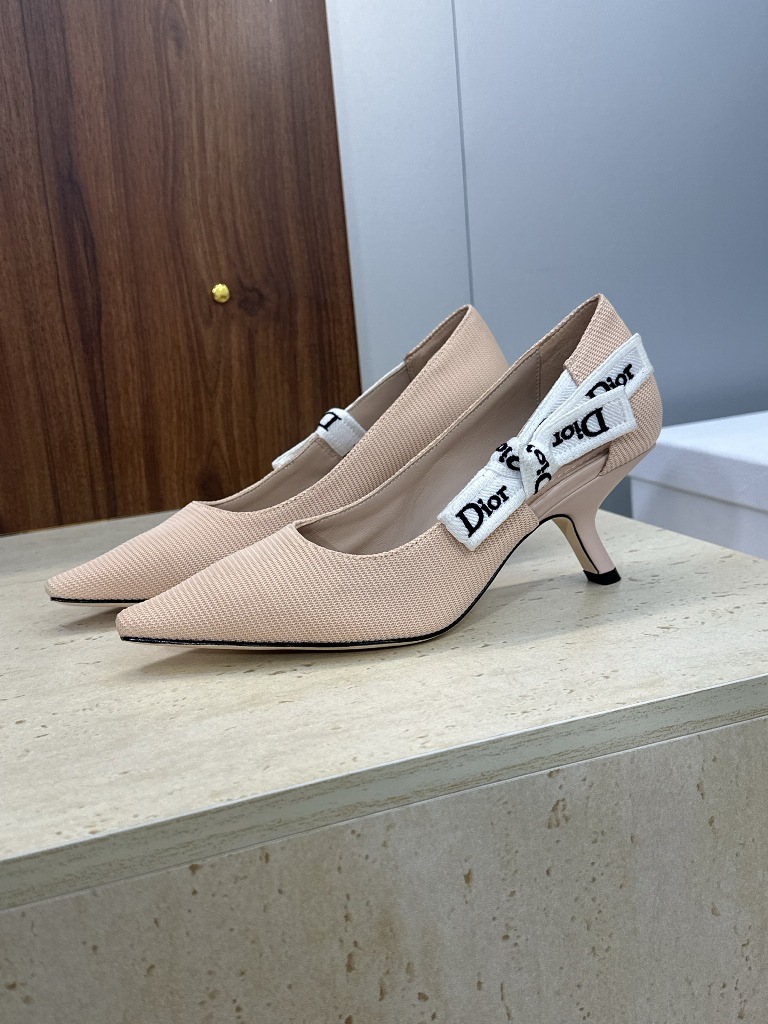 Dior Mid Heels(w)-023