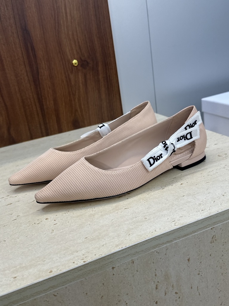 Dior Low Heels(w)-022