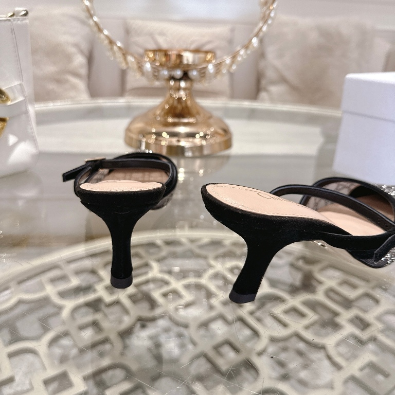 Dior High Heels(w)-036